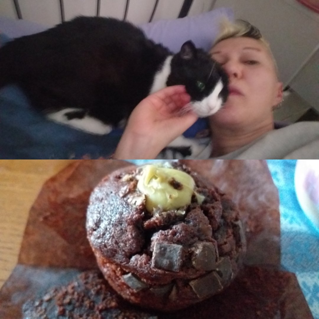 SimonaPieri70's tweet photo. Piccole gioie della mattina #Manuzz #muffin #damibasiamille https://t.co/hGYPtkdaCt