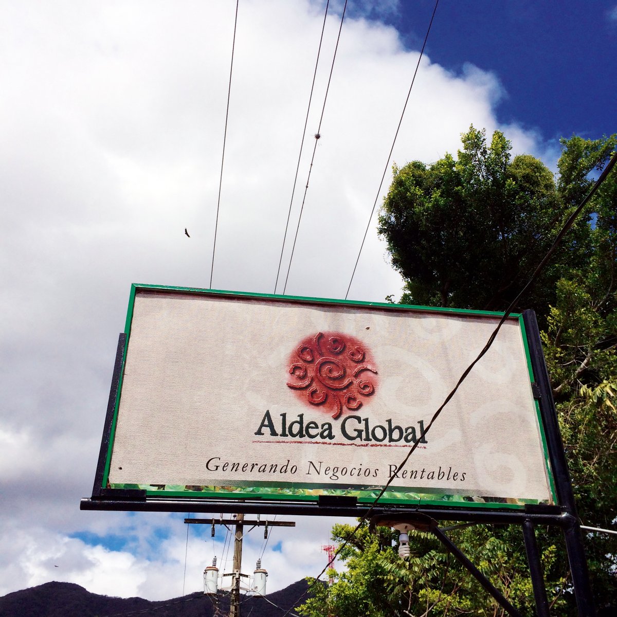 Qualitäts-Kaffees von Kaffeebauern: Der Kaffeeanbau und die Kaffee 7 bit.ly/3cYSWQx (Werblicher Beitrag)