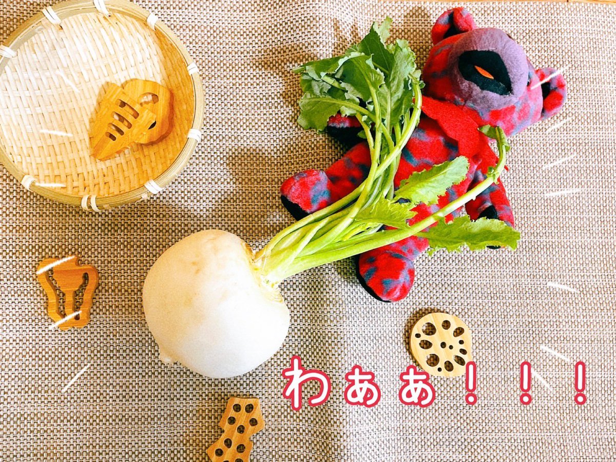 JerryGarshio's tweet photo. 【大きなカブ】

#デッドベア #ぬい撮り #JACKAROE #beanbear https://t.co/E1O15k5AJw
