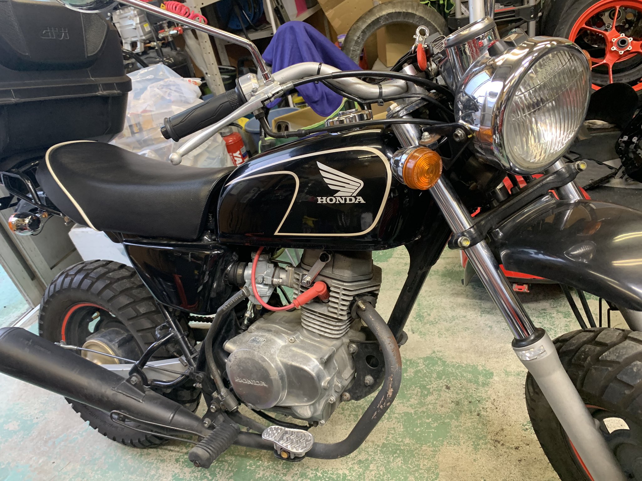 春バーゲン エイプ不動88cc - jameswaitelaw.com