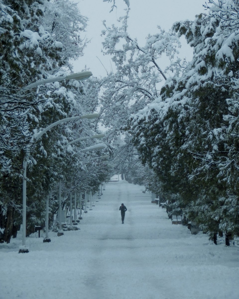 day 3 of admiring #nftPhotography on #tezos 😍

collected from: insankamil, <a href="/taylordeewatson/">Taylor</a> <a href="/a_ferrario_/">Andrea Ferrario</a> <a href="/ehsan_qp/">𖣔 Ehsan</a>