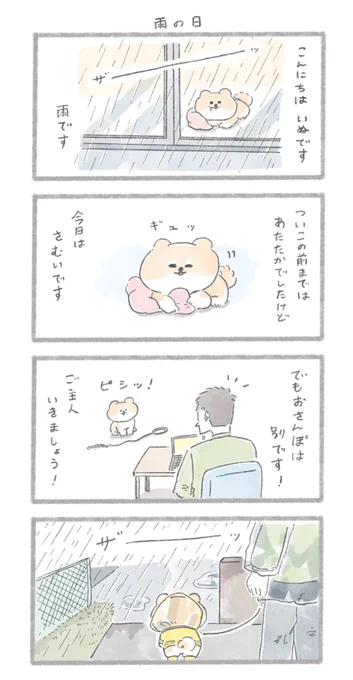 雨の日のお散歩は…?#こんにちはいぬです 