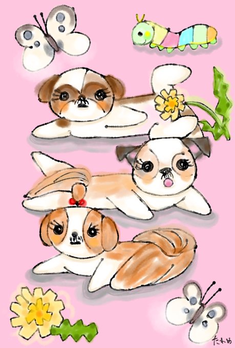しーずーのtwitterイラスト検索結果
