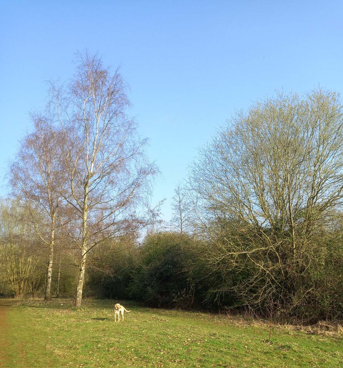 FeeBeFIT's tweet image. This weather is so good ☀️ 
#Spring #MyFavouriteTimeOfYear 🌱