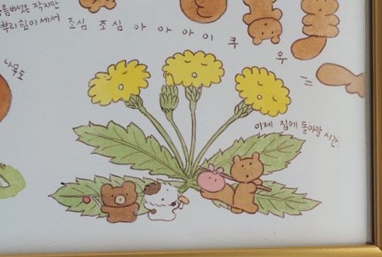 알려주고 싶은게 많은 56세 다람쥐 심마니 선생님의 이야기 보따리💭 