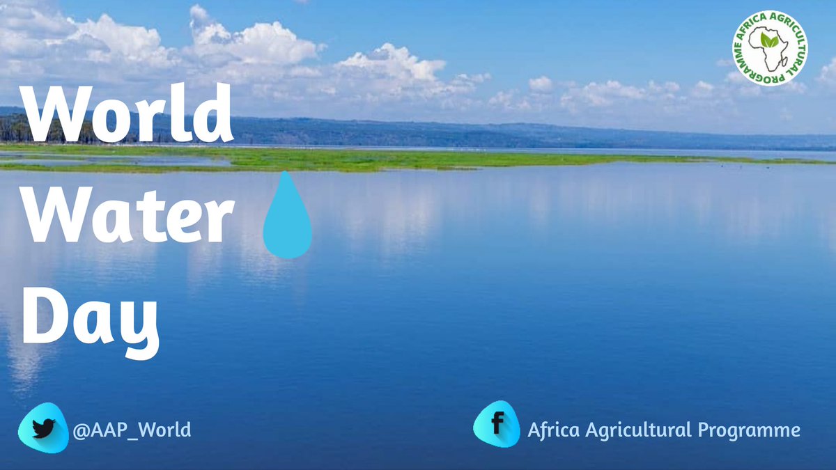 NAP_Africa's tweet photo. Do you know that approximately 97% of the water on Earth is salt water. Only  3% is fresh water. Of that  3%, most is frozen in the polar caps of  Antarctica. The  remaining 1% is found in lakes, reservoirs, rivers, streams, and beneath the ground?
#WorldWaterDay2022 https://t.co/SiHUbJPo9G