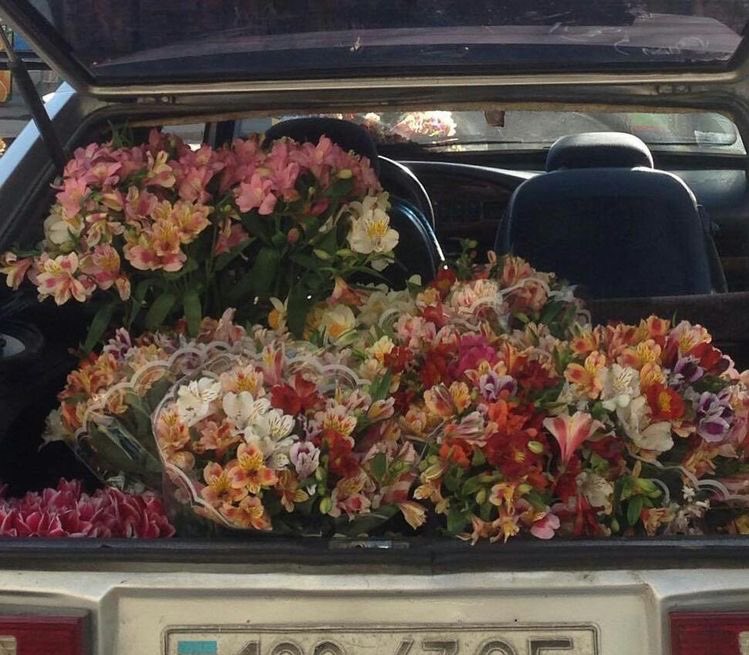 eliesaaabs tweet picture