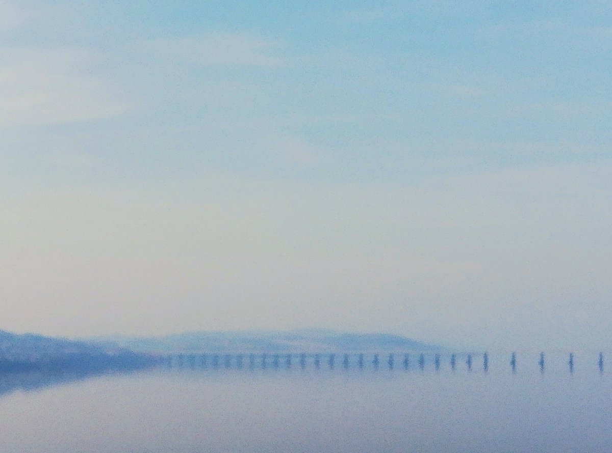 Blue haze today
#WalkToWork #Dundee #Fife #RiverTay