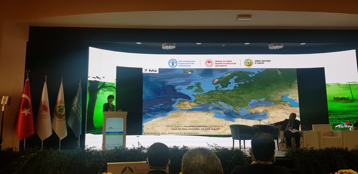 lmarcollado's tweet photo. Conservación de la diversidad genética debe tener en cuenta la selección y recolección de semillas, por ello los proyectos de reforestación deben ser planteados a largo plazo #7thMediterraneanForestWeek https://t.co/mVmIAQfiXE
