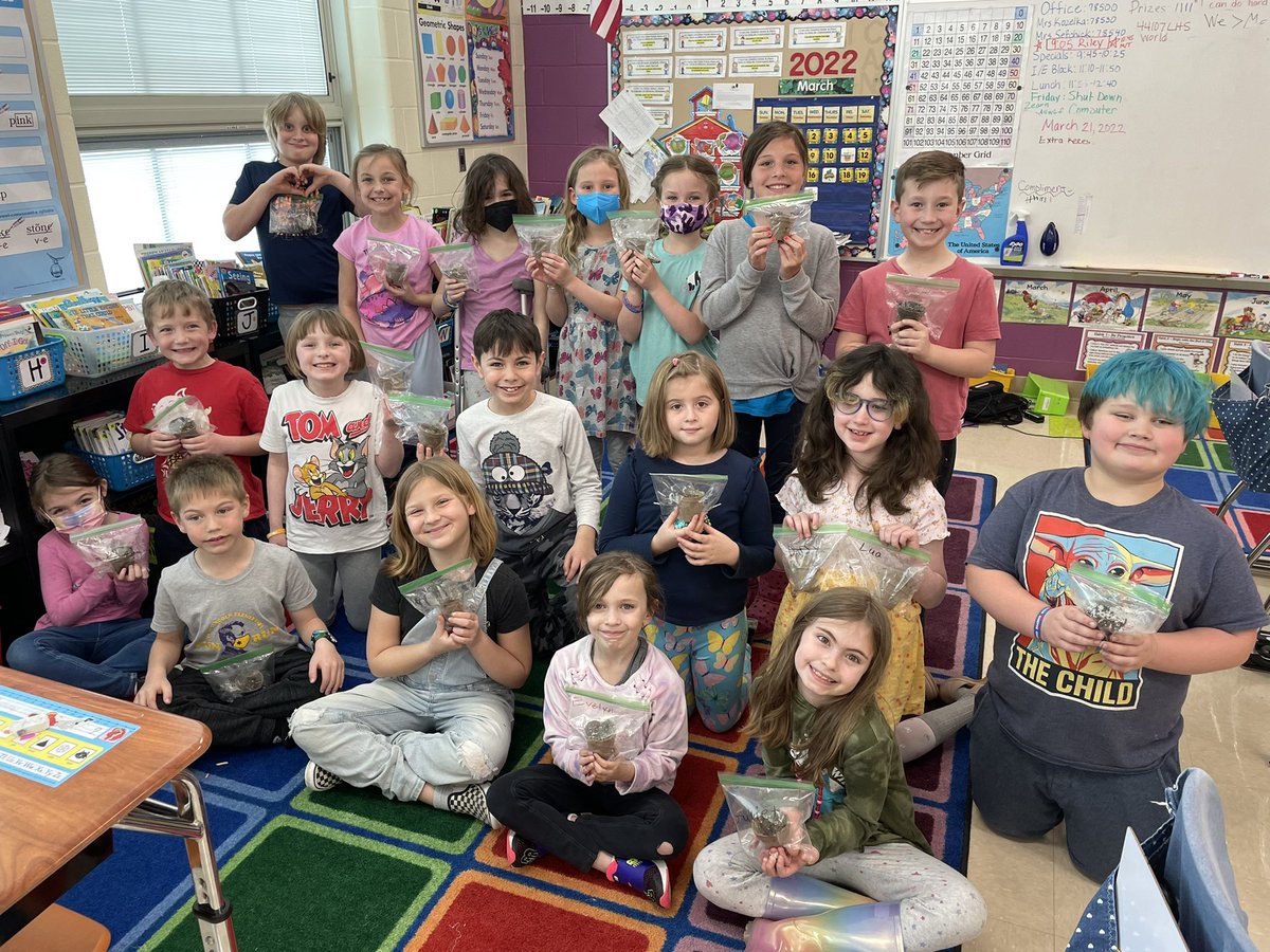 First full day of Spring, back to school, and our Spruce trees have sprouted! So much excitement! Thank you @holdenarboretum !! #lincolnpride #secondgradepride