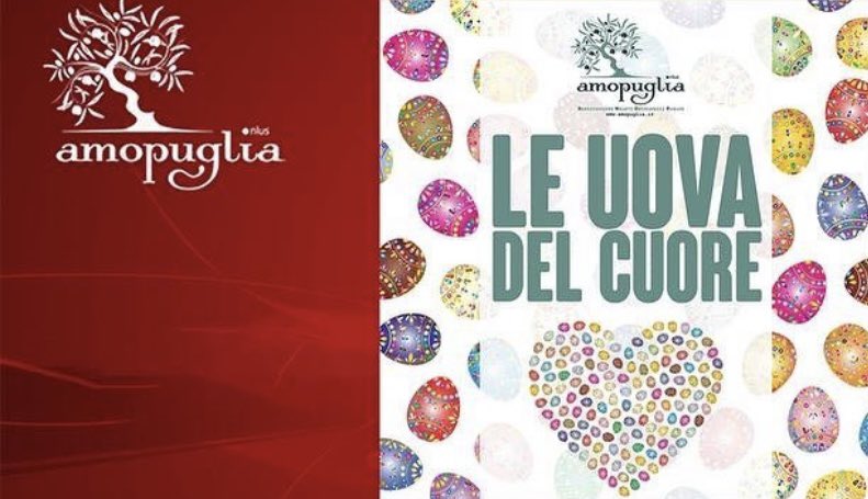 AMOPuglia Onlus tweet media