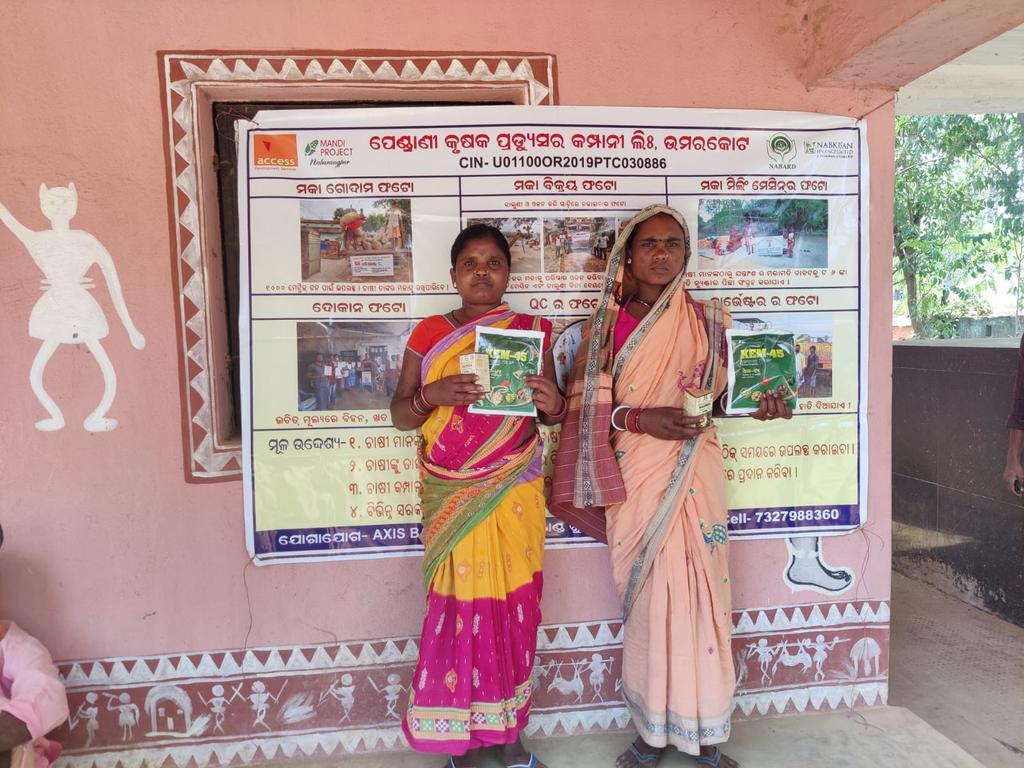 MANDI_Maize's tweet photo. Tribal women members of PKPCL, Umerkote receives supports for pest control measures in maize cluster under "Mission Jeevika" project of ITDA, Nabarangpur 
@krushibibhag @Horticultureod1 @stscdev @DMnabarangpur @NidhiNSrinivas @ACCESSDevelopm1 @vipinaccess @subhendu75 https://t.co/w8P7rGfqdr