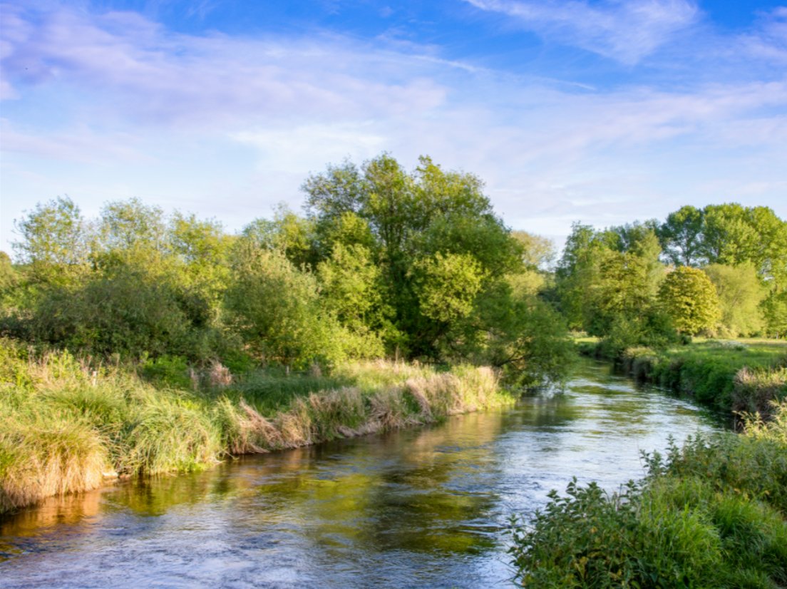WRAP_NGO's tweet photo. On #WorldWaterDay we welcome #LowerHope @englishcherries to the #WaterRoadmap. Join them to protect critical water resources for food supply, for nature, for local communities https://t.co/P6RQ0qoXqx. @wwf_uk @theriverstrust #SDG6 #Courtauld2030 #WaterStewardship #WaterSecurity https://t.co/IAKwikoXTD
