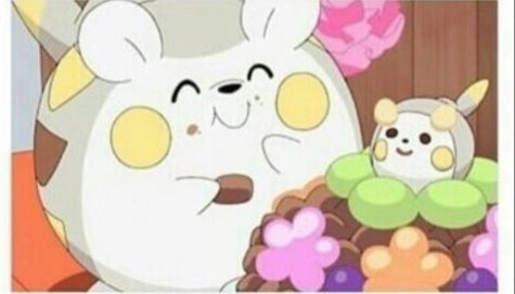 アニメ ポケットモンスター 公式 アニポケ ポケモンズームアップ 正解発表 答えはこの白い枠の部分 第96話で登場したマーマネの トゲデマル でした ホウエン地方のトクサネ宇宙センターに マーマネと一緒に来ていたトゲデマル 宇宙まで光を届け