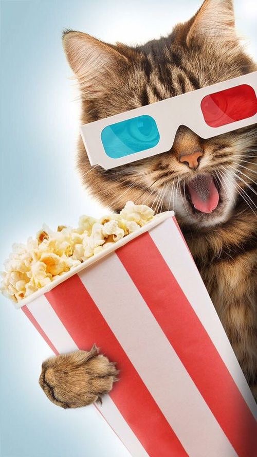 nextradio_ug's tweet photo. National 3-D Day celebrates the art, science, and history of stereoscopic 3-D imagery. We explore the technologies used to create 3-D photographs, movies, and art. What's the title of the first movie you ever watched with 3D glasses?

#National3DDay #NextRadioUg https://t.co/PlhXUkNX1Z