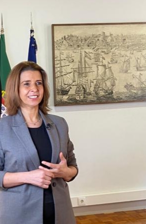 Mar PT 🇵🇹 tweet media