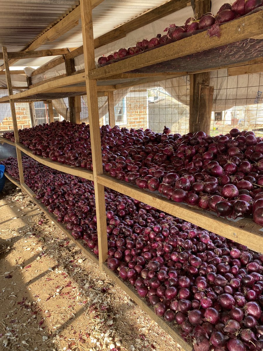 #WorldWaterDay2022 #groundwater is invisible but it’s impacts are everywhere to see #foodsecurity