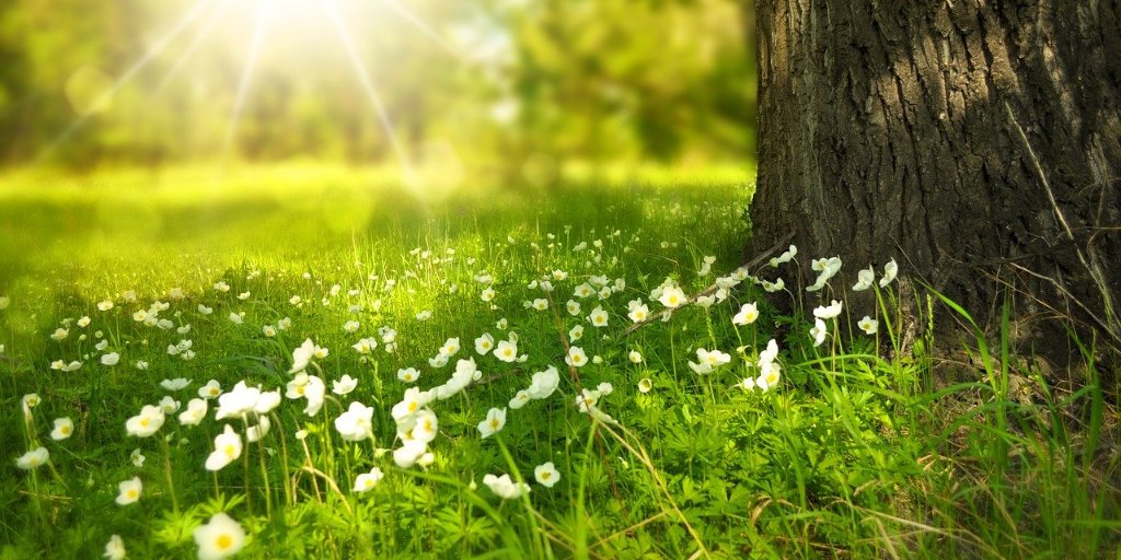 ahrcpress's tweet photo. How can nature and culture #LevelUp health and well-being across the UK? From wild swimming to creative activities with young people, 12 new projects explore innovative ways of using culture and nature to tackle health disparities – https://t.co/J3YdyGXOIH https://t.co/Jzjfsi1nvX