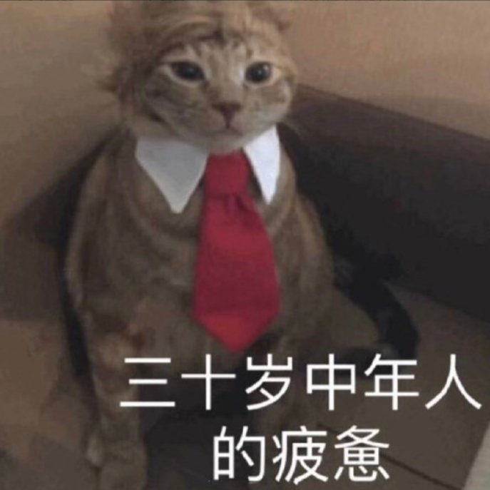 Lollypop1284's tweet photo. 日常会話によく使う言葉ーー【三十岁中年人的疲惫  sān shí suì zhōng nián rén de pí bèi 】​
日本語では、「30代の中年の疲労感」という意味です。
今日はお疲れ様でした！
#スタンプ　#中国語スタンプ　#中国語勉強　#中国語学習 https://t.co/oQKUzh01vA