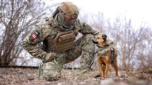 GSwietojanska's tweet photo. Czworonożni bohaterowie też bronią swojej ojczyzny 🐶🐶🇺🇦

#pies #piesek #dog #zwierzęta #animal #nowar #stopwar #solidarnizukrainą #SolidaritywithUkraine
#ukraina https://t.co/53hDE6w6AD