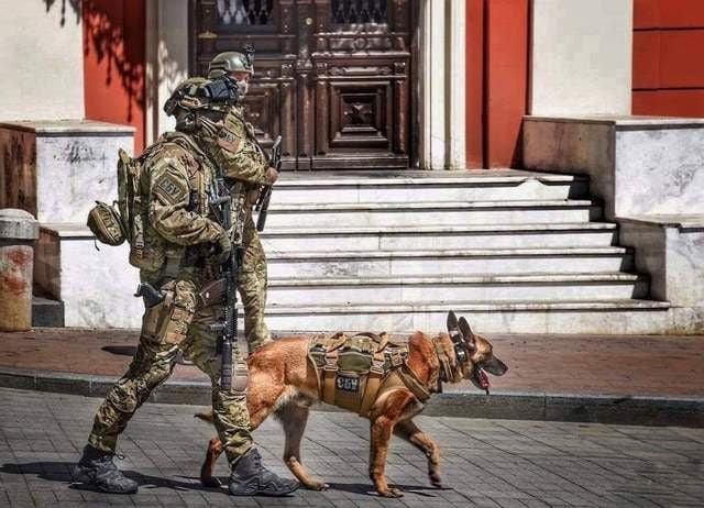 GSwietojanska's tweet photo. Czworonożni bohaterowie też bronią swojej ojczyzny 🐶🐶🇺🇦

#pies #piesek #dog #zwierzęta #animal #nowar #stopwar #solidarnizukrainą #SolidaritywithUkraine
#ukraina https://t.co/53hDE6w6AD