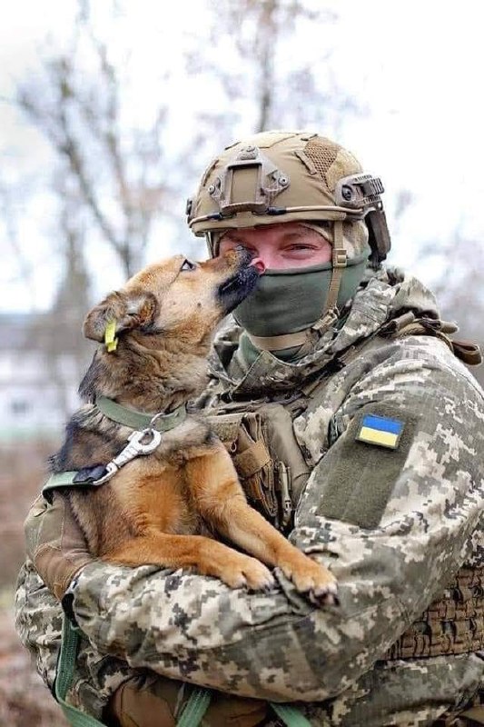 GSwietojanska's tweet photo. Czworonożni bohaterowie też bronią swojej ojczyzny 🐶🐶🇺🇦

#pies #piesek #dog #zwierzęta #animal #nowar #stopwar #solidarnizukrainą #SolidaritywithUkraine
#ukraina https://t.co/53hDE6w6AD