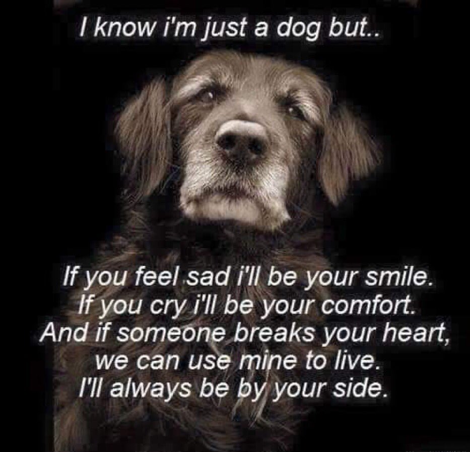 barksidepod's tweet photo. https://t.co/VOLmCLXl4B