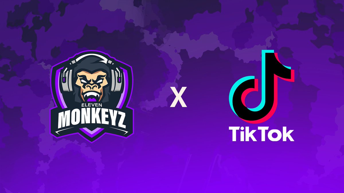 11Monkeyz tweet media