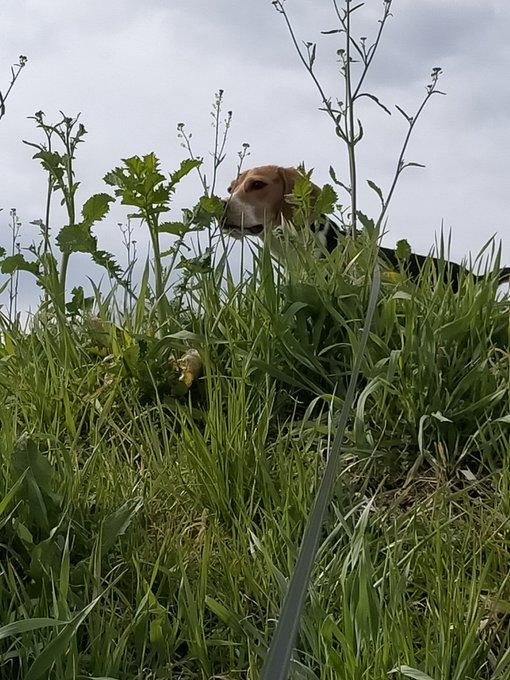 画像まとめ ユリシーズ ジャンヌ ダルクと錬金の騎士 4ページ目 アニメレーダー