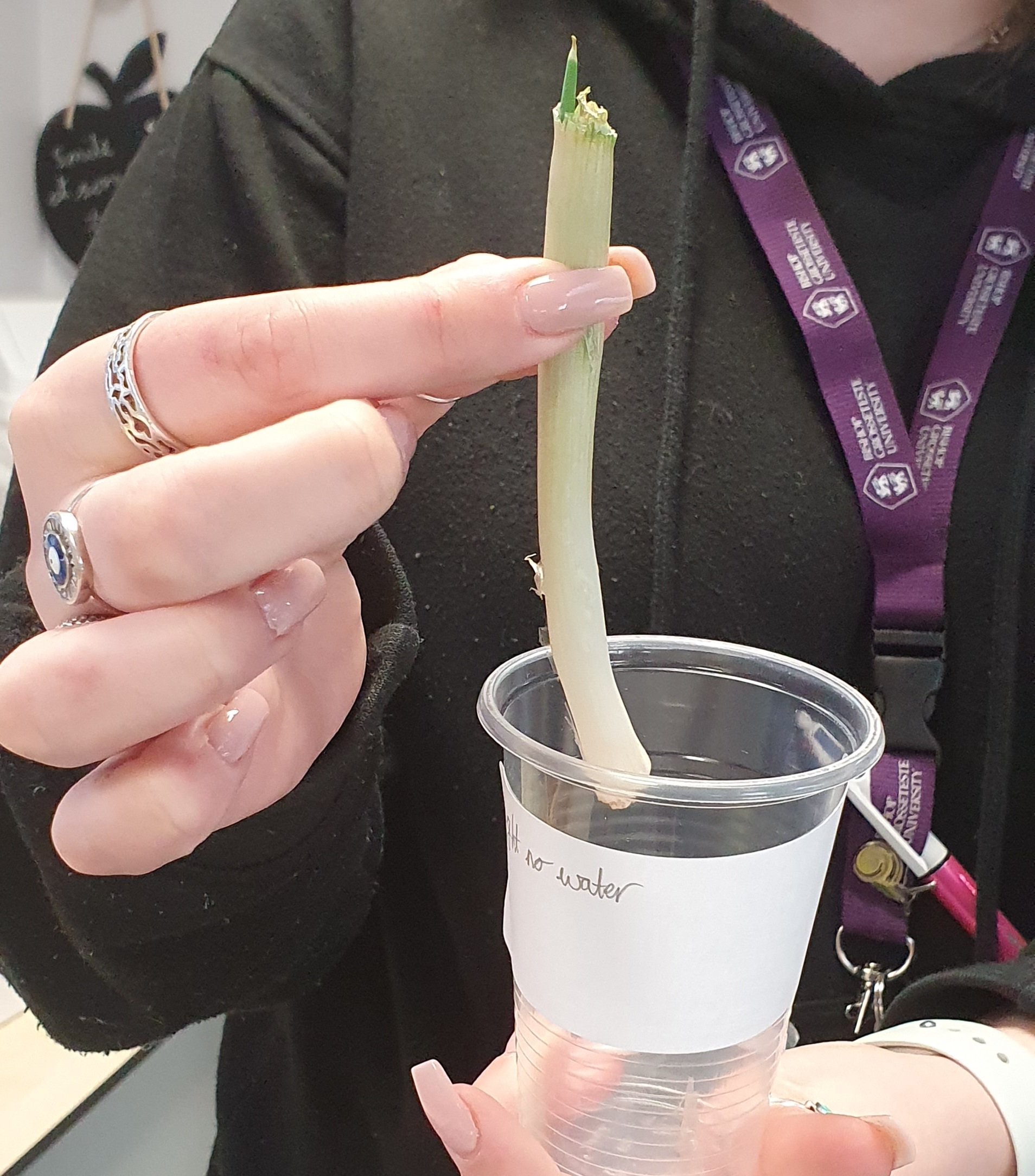 Year 3 Ordsall Primary School on Twitter "Riley Class have used their