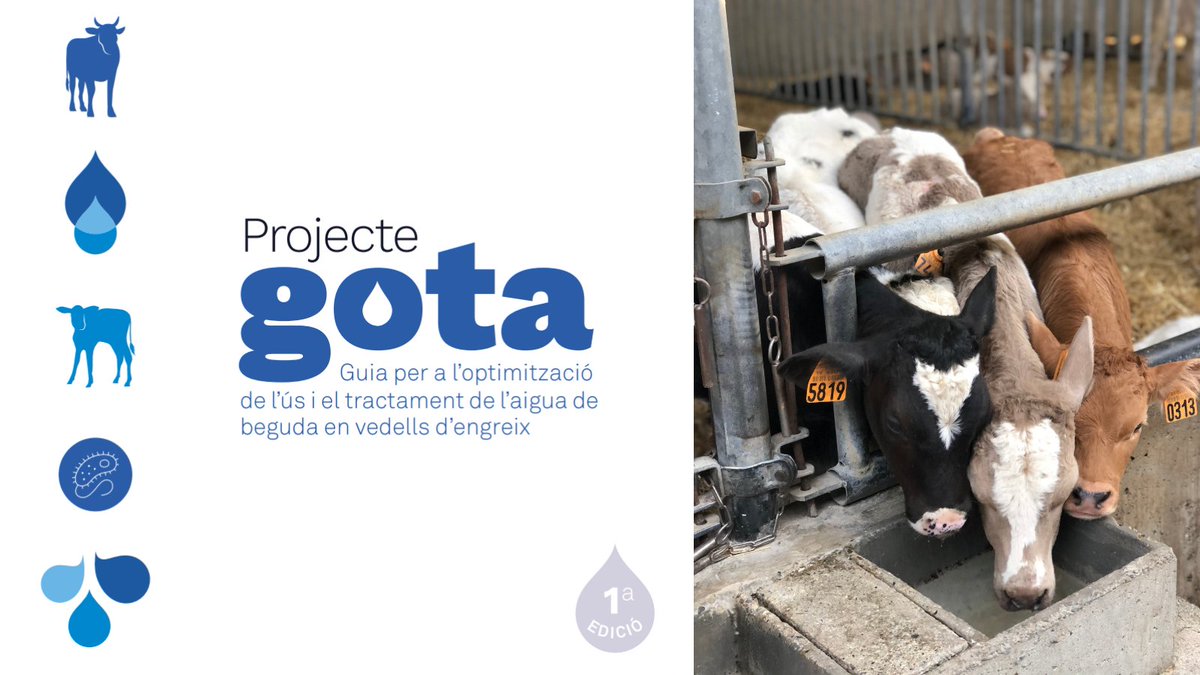 irtacat's tweet photo. L'estudi s’ha elaborat en el marc del grup operatiu #GOTA, liderat per l'IRTA amb la col·laboració de BonÀrea Agrupa, NANTA-Grup Nutreco, Sinual, l’Associació de Productors de Boví d’Alcarràs i Asoprovac.

#GrupsOperatiusCat #ODS6 #WorldWaterDay
@agriculturacat 

[4/4] https://t.co/u4Y2PudfaD