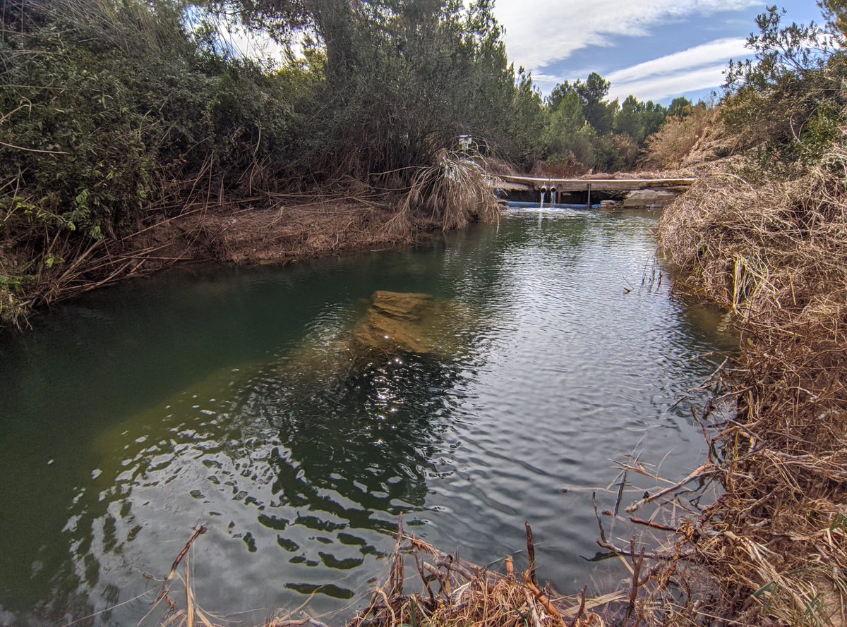 En el Dia mundial de l'aigua, és necessari no oblidar que més del 25% de la població mundial no té accés a l'aigua potable. Revertir aquesta situació i la bona gestió i preservació dels aqüífers és una obligació social . Foto Barranc de l'Horteta #Torrent #diamundialdelagua