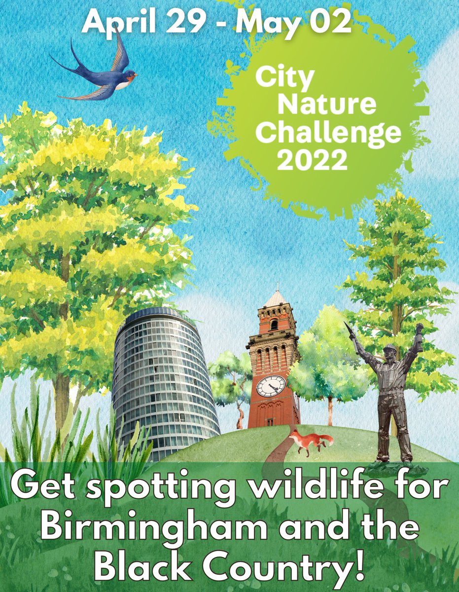 Birmingham & Black Country Wildlife Trust tweet media