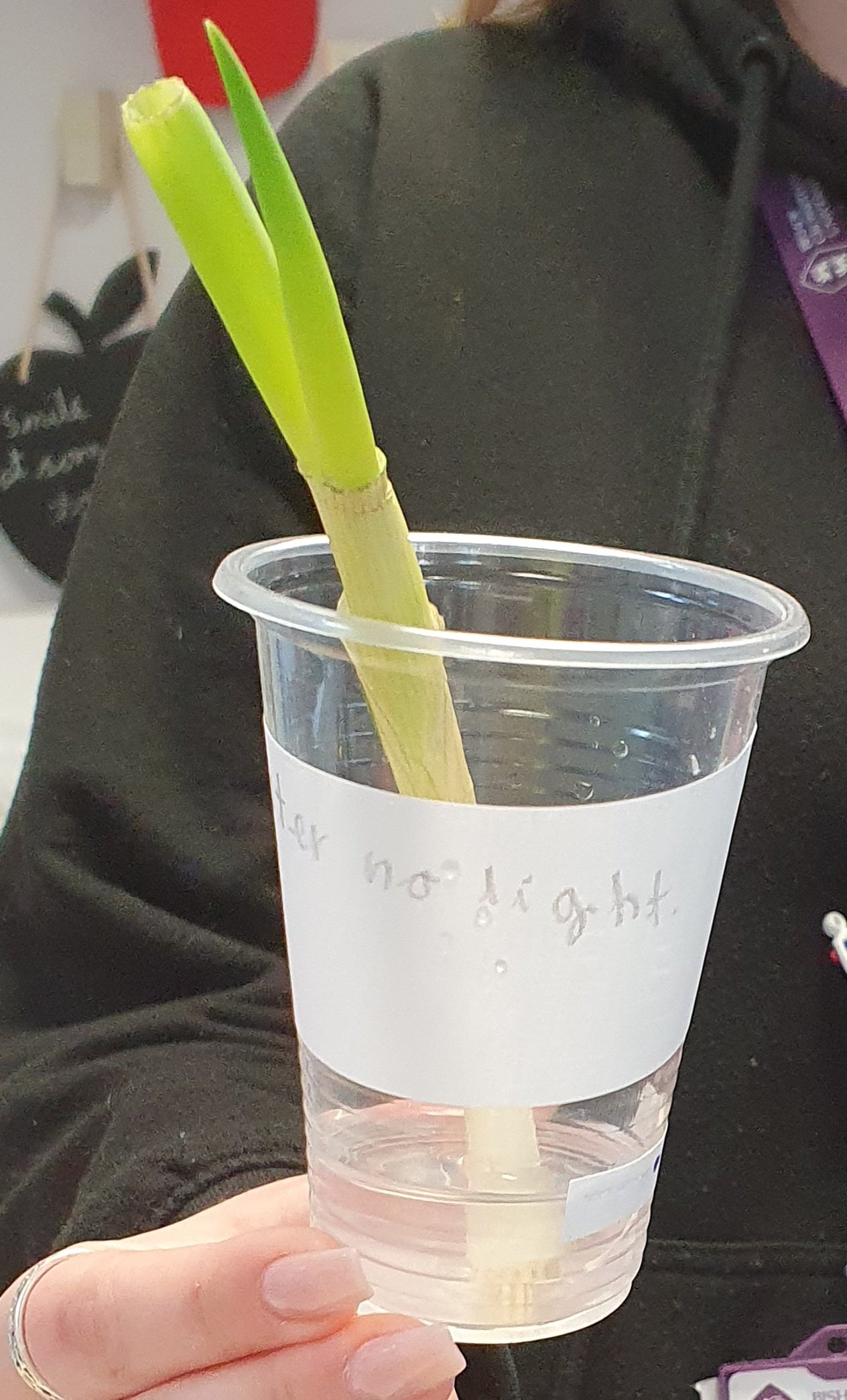 Year 3 Ordsall Primary School on Twitter "Riley Class have used their