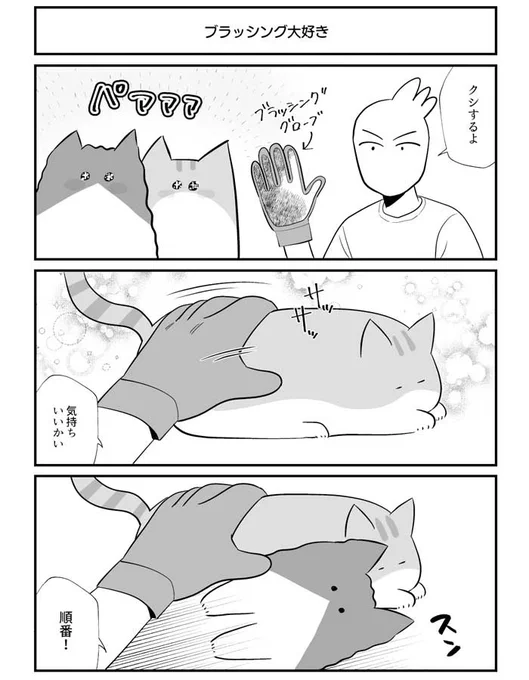 ブラッシングをしてもらうことに目を輝かせた2匹の猫 展開にニヤニヤ https://t.co/ZtvP1ebvgf @grapeejpより 