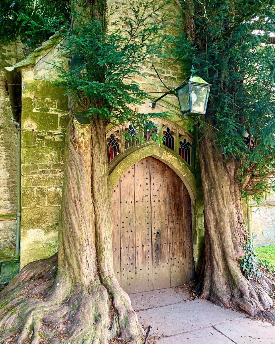 cotswolds_uk's tweet photo. ✨Visit The Cotswolds✨
🔝 #1 guide to exploring the #Cotswolds
🌐 https://t.co/3ixGw64YK7
🤗 Supporting local businesses
📸 Showcasing amazing photographers
📸 Rachna, @rachna_bassi ✨
📍Locations:
1️⃣ #Bibury
2️⃣ #LowerSlaughter
3️⃣ #UpperSlaughter
4️⃣ #StowOnTheWold https://t.co/2BV0nJml6J