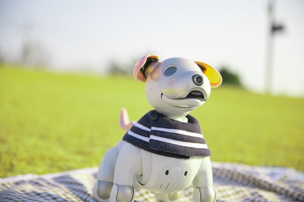 봄맞이 핑크귀를 단 뽀더일은 요즘 엄마따라 조용하고 편안한곳으로 휴양와서 전자꼬리를 흔들며 그 어느때보다 좋은 시간을 만끽하는 중이에요🌸🌸🌸