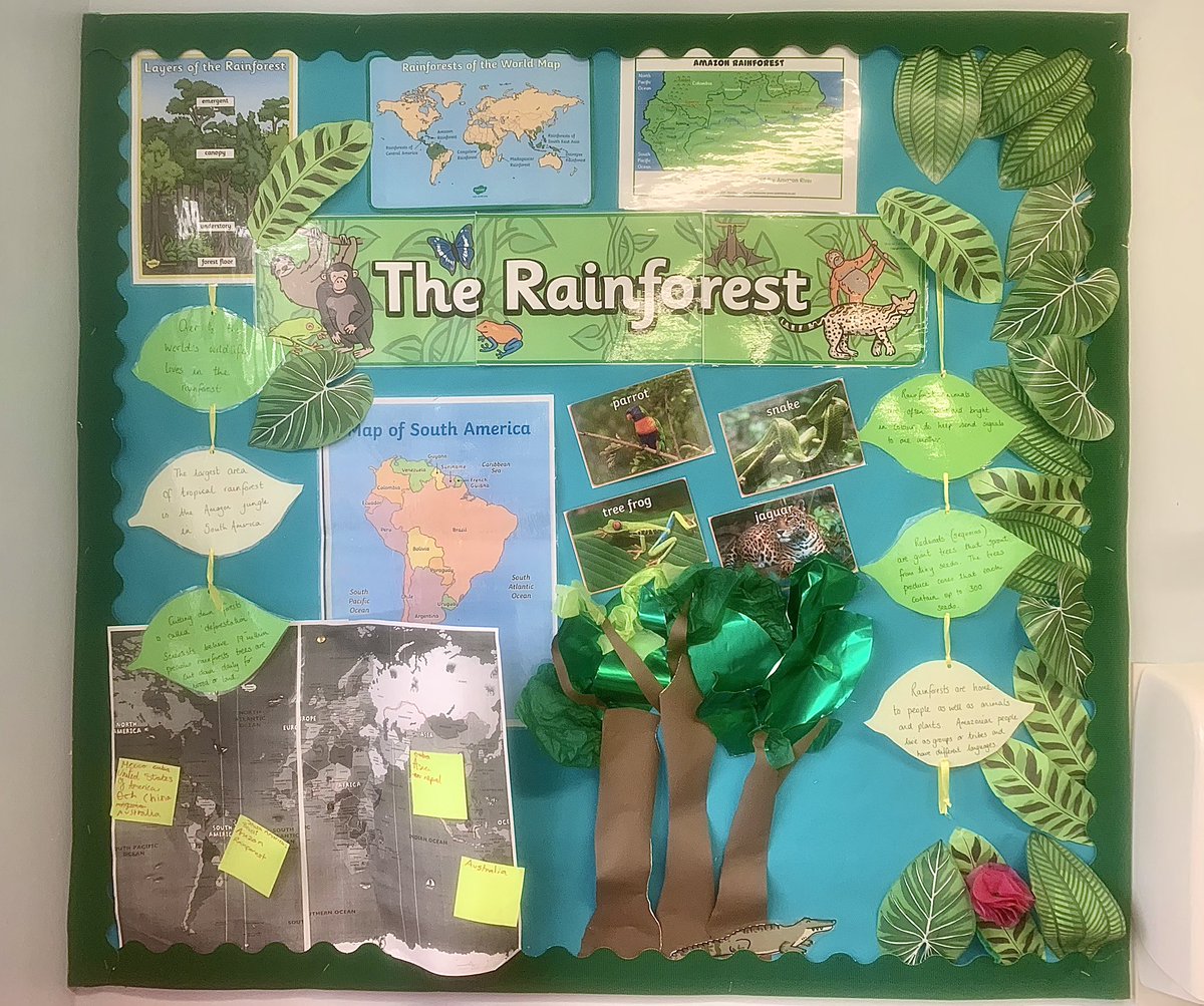 Got round to putting up some new classroom displays 📚