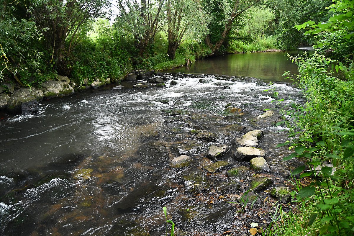 tuBraunschweig's tweet photo. Welche Wege bevorzugen #Fische auf Sohlengleiten, also naturnahen Bauwerken in Bächen und Flüssen, bei ihrer Wanderung flussaufwärts? Das untersucht das Leichtweiß-Institut für #Wasserbau (LWI) der #TUBraunschweig im Projekt #MigRamp.
👉https://t.co/sDFMzxeI5e https://t.co/bEdgjlpEax