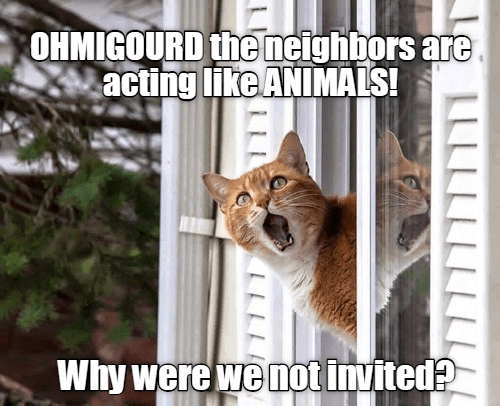 SortItOut_Ports's tweet photo. If you are a student and you are having any neighbourhood disputes or housing issues or group meeting issues feel free to contact us sortitout@upsu.net and we will try and Sort It Out! https://t.co/v12UxgLpbi