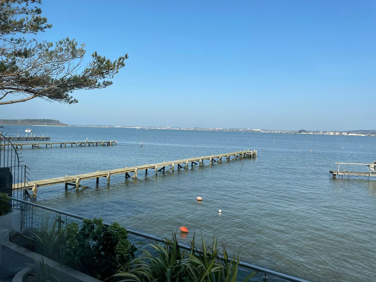 Spring, is that you? ☀️ 

The view from our dining room looks even better with bright blue sky.