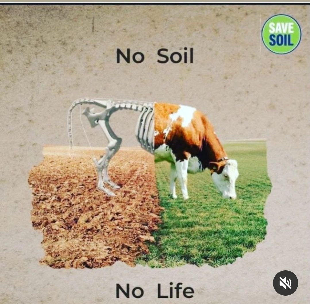 ParshantHadala's tweet photo. 🥺let's make it happen #SaveSoil. I am with @SadhguruJV
#SaveSoil #JourneyForSoil #ConsciousPlanet https://t.co/I368DEbeh1