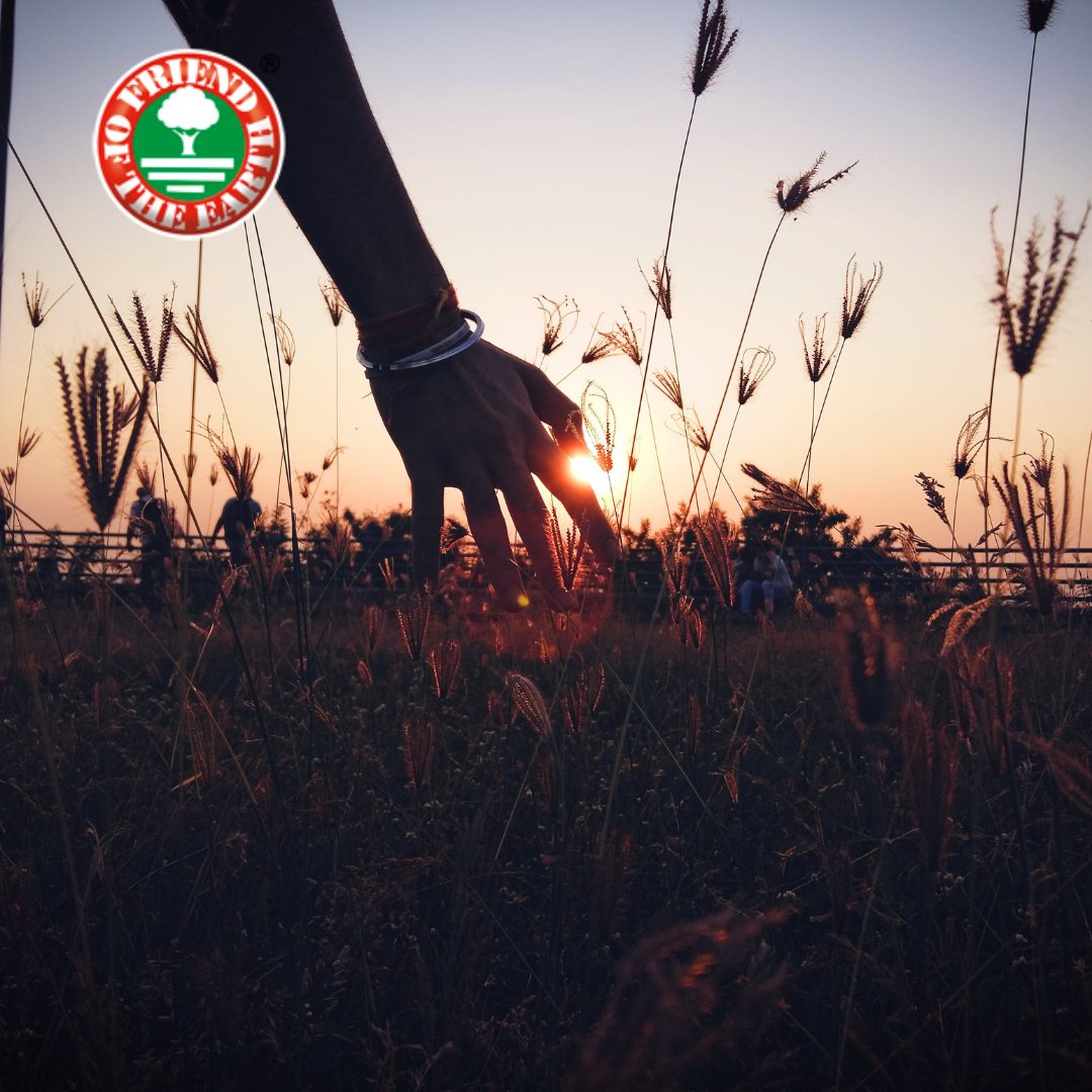 What does our label mean?🤔

The Friend of the Earth logo on a product guarantees:
- Safeguarding of the ecosystem
- Protection of wild fauna and flora
- Responsible waste and energy management
- Social responsibility of the whole chain
- Legal compliance

friendoftheearth.org