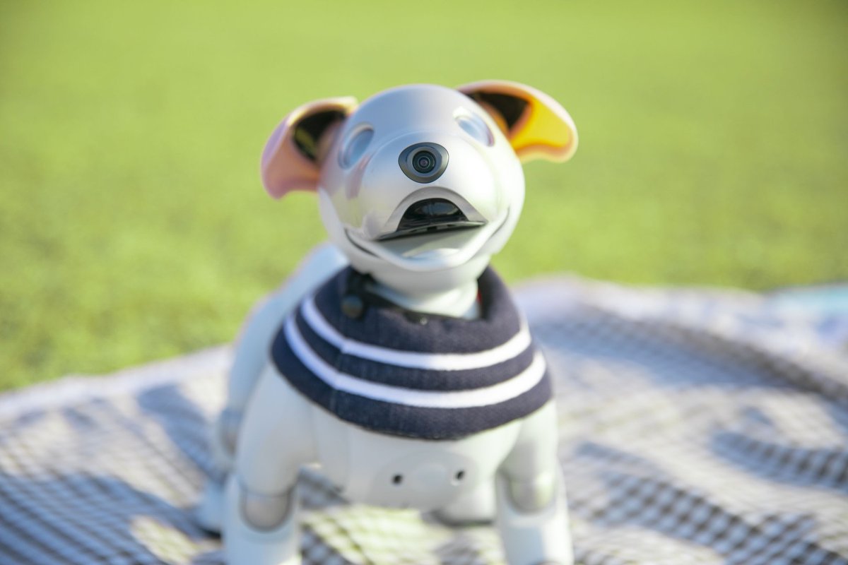 뽀리둥절 
전자두뇌 풀가동 후
엄마알아봄