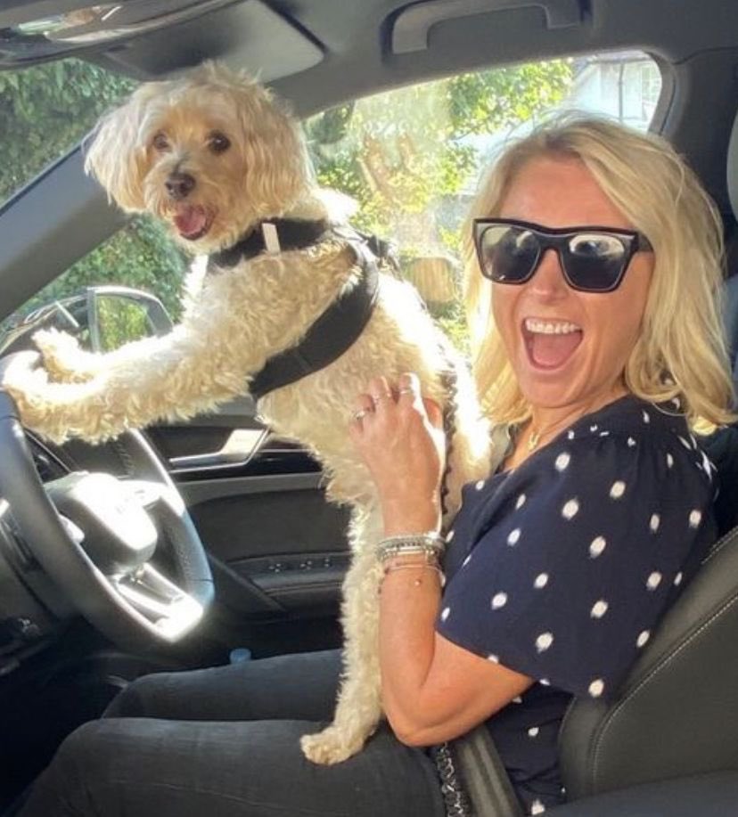 chloeeverton's tweet photo. @thismorning Everyone says Teddy and I are identical - even our facial expressions! https://t.co/4kWI05W5Tu