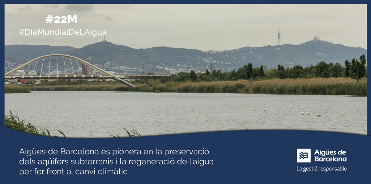 aiguesbcnclient's tweet photo. L’aigua subterrània suposa més del 90% de l’aigua dolça disponible al món, glaceres i casquets polars al marge.

Saps què fem nosaltres per cuidar-la? Aquí t’ho expliquem.

#DiaMundialDeLAigua #InvisibleAlsUlls

➡️https://t.co/DFx4Ft5RnG https://t.co/W3dhneujba