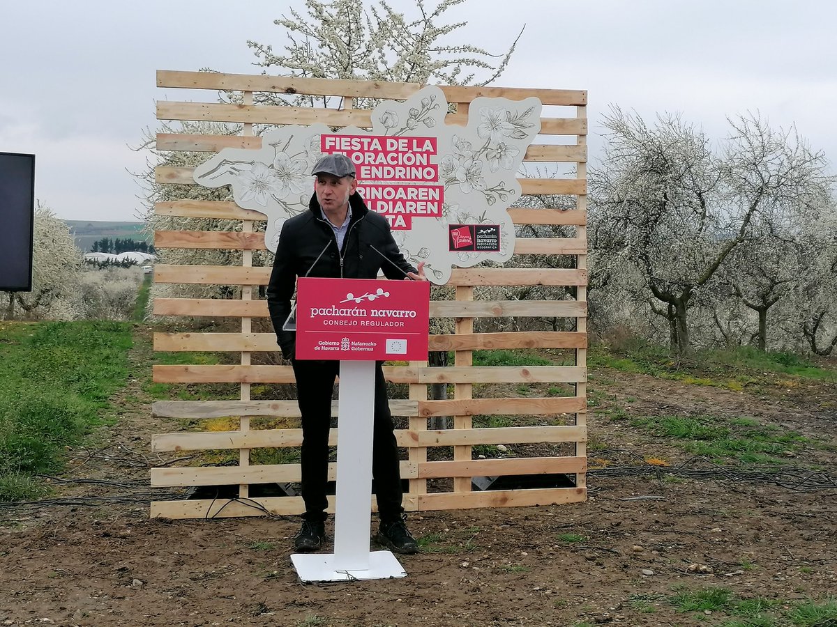 PacharanNavarro's tweet photo. Arranca la I Fiesta de la Floración del Endrino con las palabras de Adrián Subía y el reconocimiento a los agricultores que apostaron por la domesticación del endrino
#PacharanNavarro #ReynoGourmet
@Reyno_Gourmet
@IntiaSa https://t.co/WTx1qdUXxr