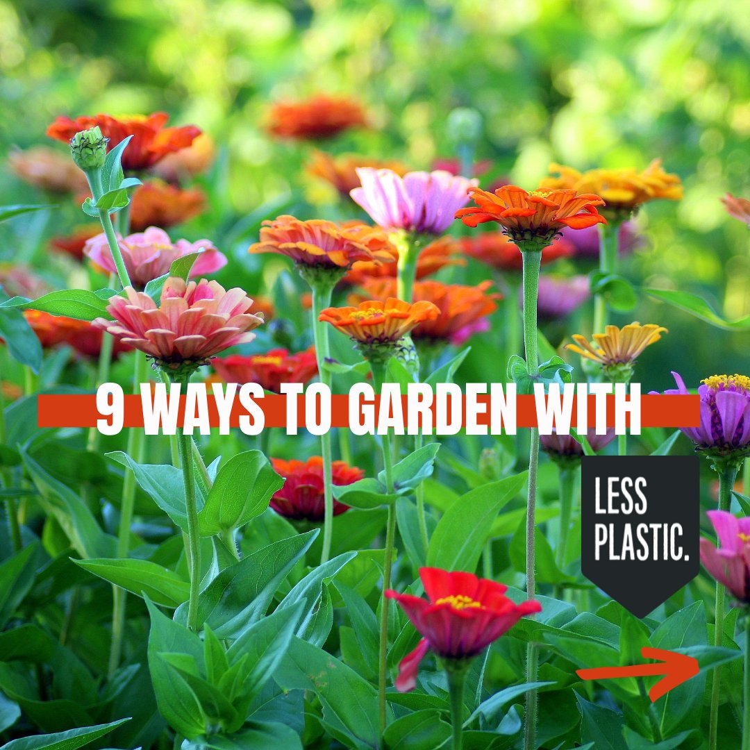 Less Plastic tweet media