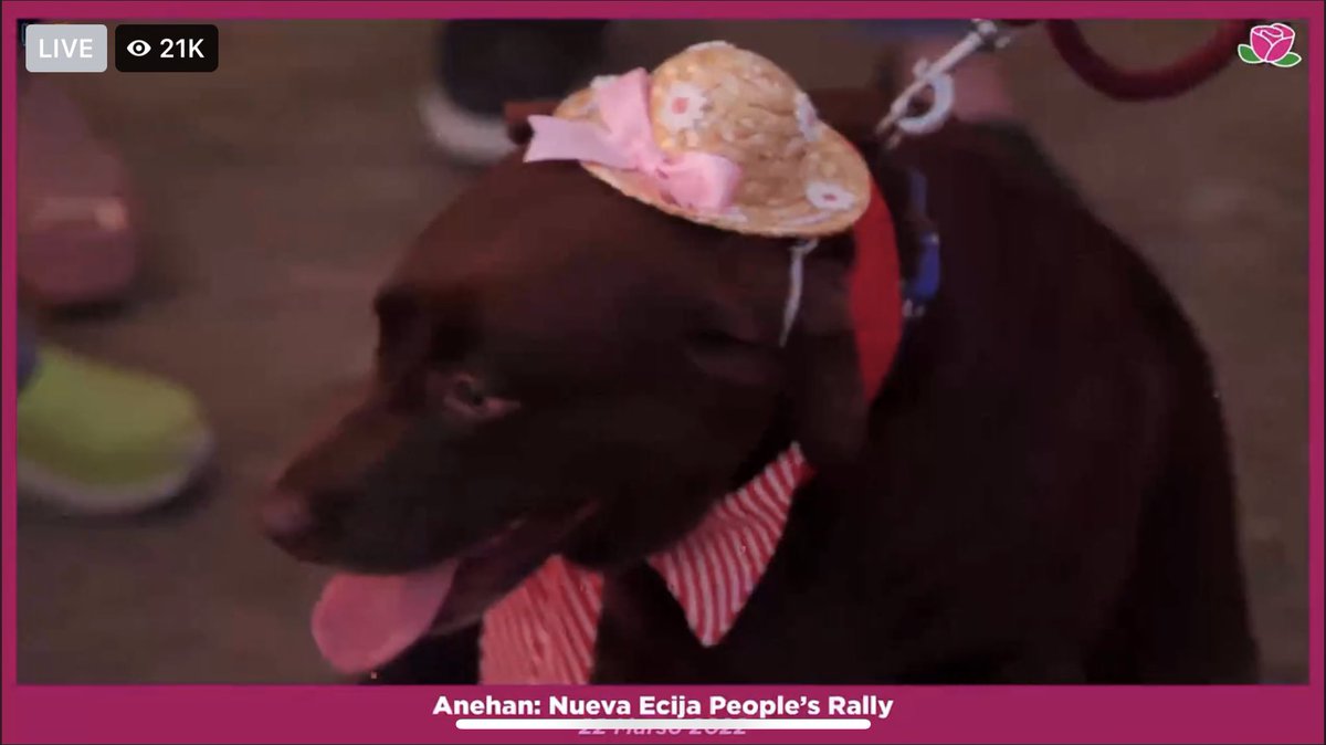 mercemarie's tweet image. Guys let’s help this cutie and the whole of aNEhan trend! Wala daw silang signal to post on site! #NuevaEcijaIsPink #robredogs