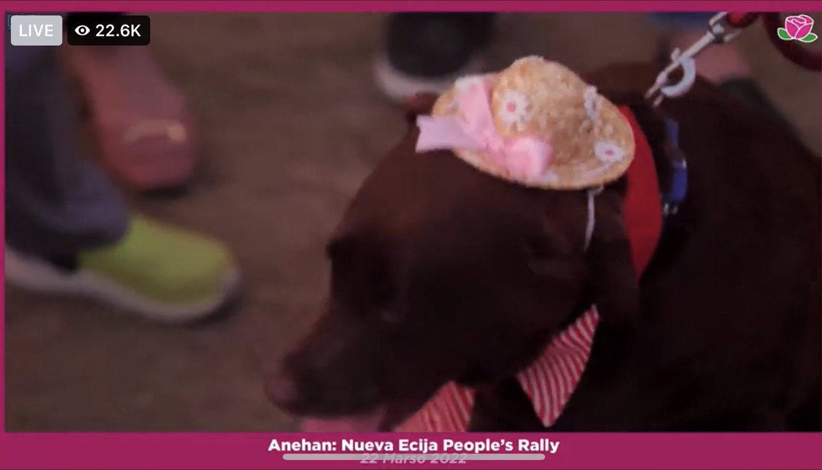 mercemarie's tweet image. Guys let’s help this cutie and the whole of aNEhan trend! Wala daw silang signal to post on site! #NuevaEcijaIsPink #robredogs